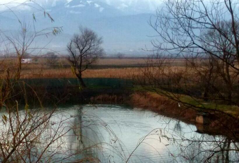 غرفة قياسية, Ferma Valea Soarelui