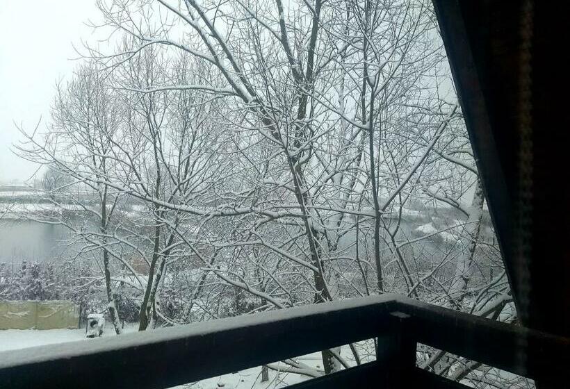 غرفة قياسية, Ferma Valea Soarelui