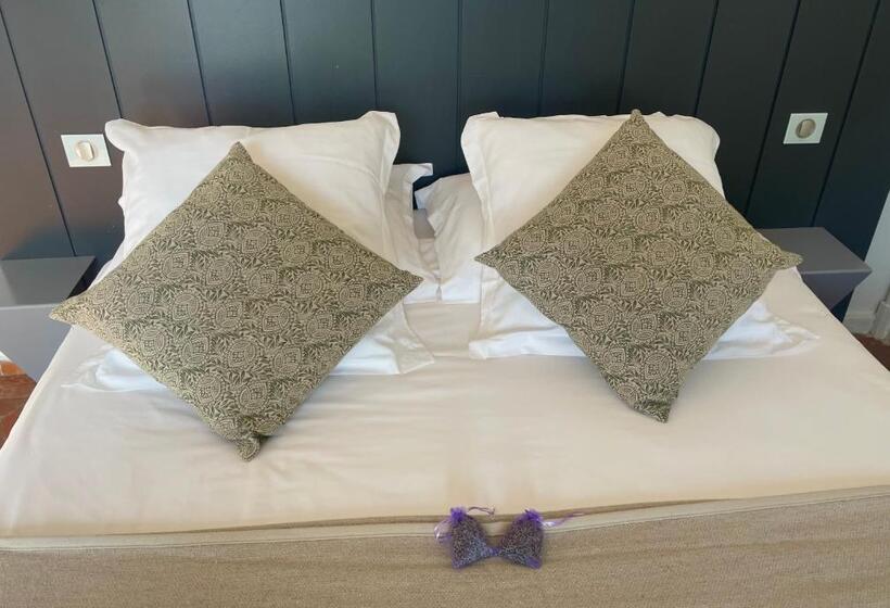 غرفة قياسية مطلّة علي الحديقة, Domaine De L Enclos