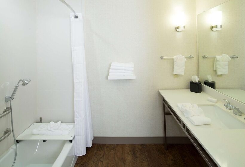 Номер Стандарт Кровать Кинг Адаптированный для Инвалидов, Hilton Garden Inn Longview
