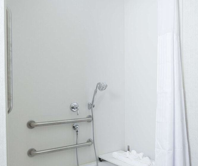 חדר סטנדרט, מיטת קינג, מותאם לאדם עם מוגבלויות, Hilton Garden Inn Longview