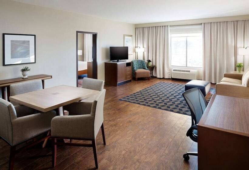 מיטת קינג בסוויטה, Hilton Garden Inn Longview