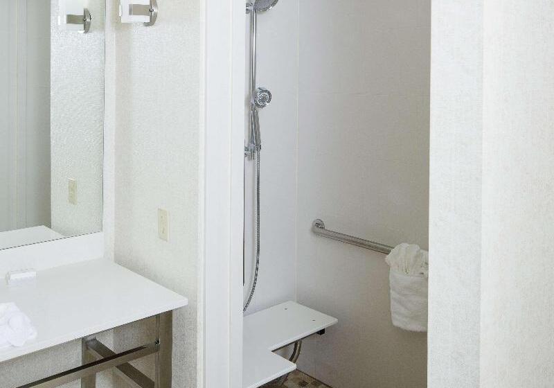 Стандартный Номер Кровать Кинг, Hilton Garden Inn Longview