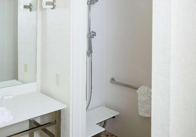 חדר סטנדרט עם מיטת קינג, Hilton Garden Inn Longview