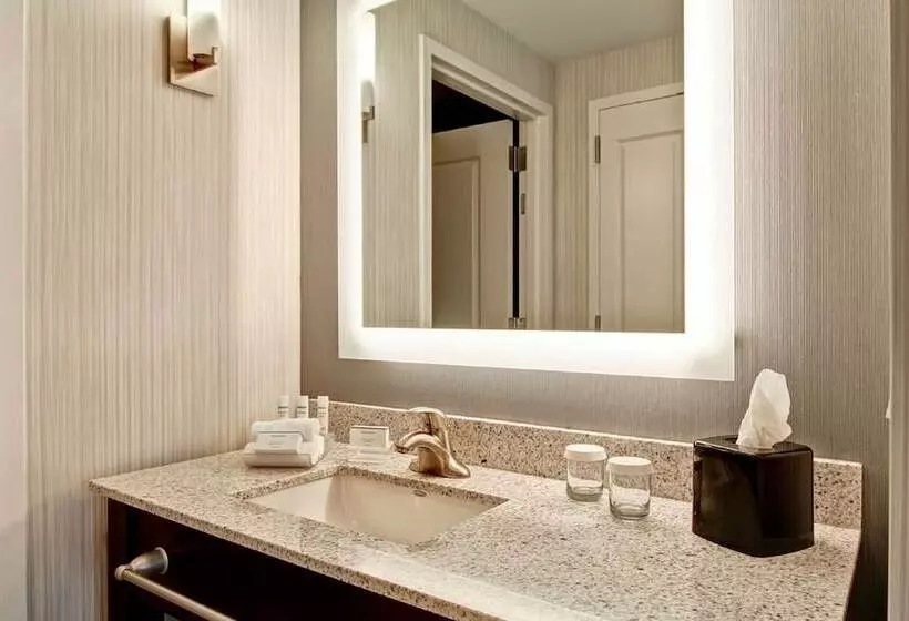 身障者適用スイートルーム, Homewood Suites By Hilton Clifton Park