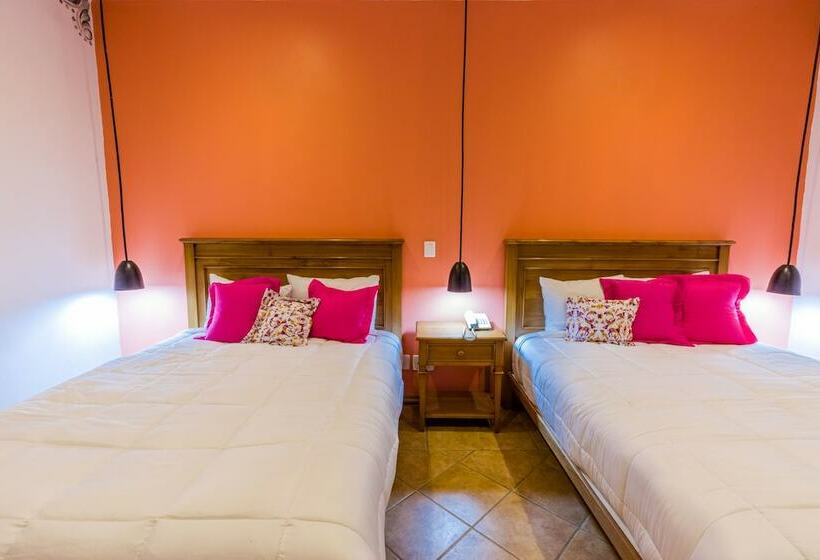 Полулюкс, Oaxaca Inn Centro