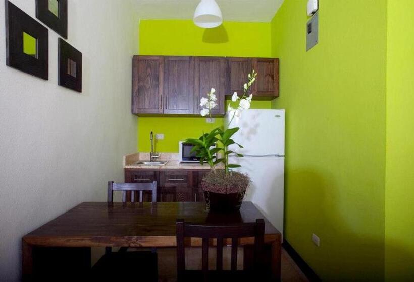 اتاق لوکس با چشمانداز استخر, Silvestre