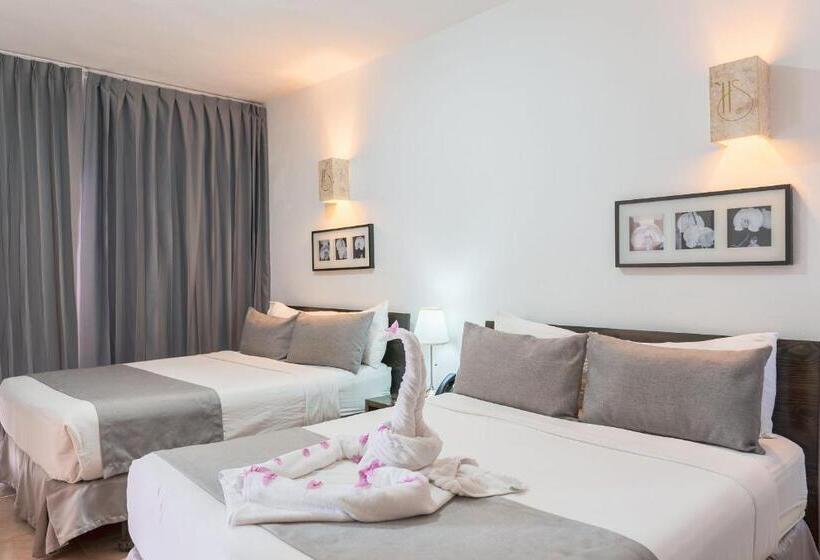 اتاق سوپریور با چشمانداز باغ, Silvestre