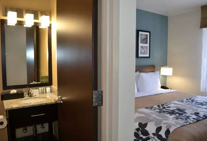 2ダブルベッドのスタンダードルーム, Sleep Inn Coney Island