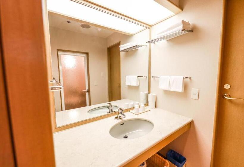 Номер Стандарт Трехместный, Chateraise Hotel Nirasaki No Mori