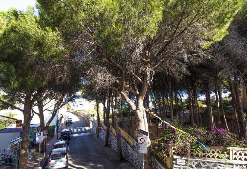 חדר סטנדרט, Piccolo Hotel Nuova Gestione