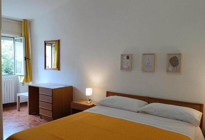 חדר אקונומי, Piccolo Hotel Nuova Gestione