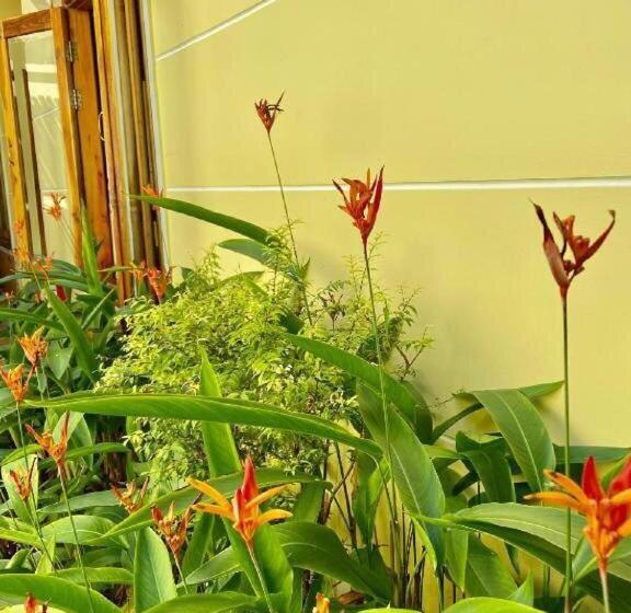 스탠다드 룸, Liên Tho Phú Quốc