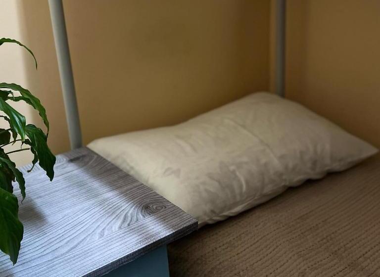 اتاق اکونومی, Hostel № 1