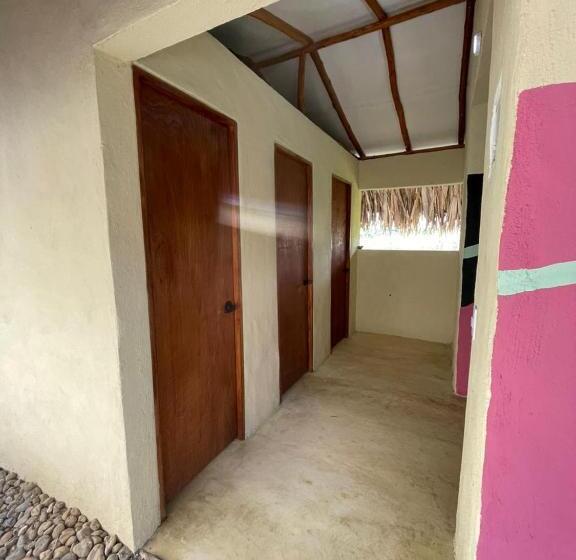 공동 객실, Makai Beach Hostel