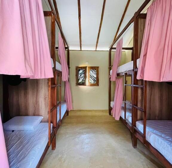 공동 객실, Makai Beach Hostel
