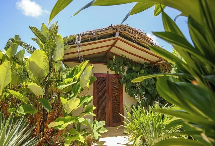 スタンダードルーム, Makai Beach Hostel