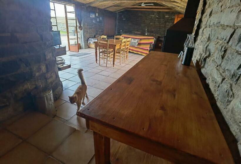 スイート（家族用）, Blesfontein Guest Farm