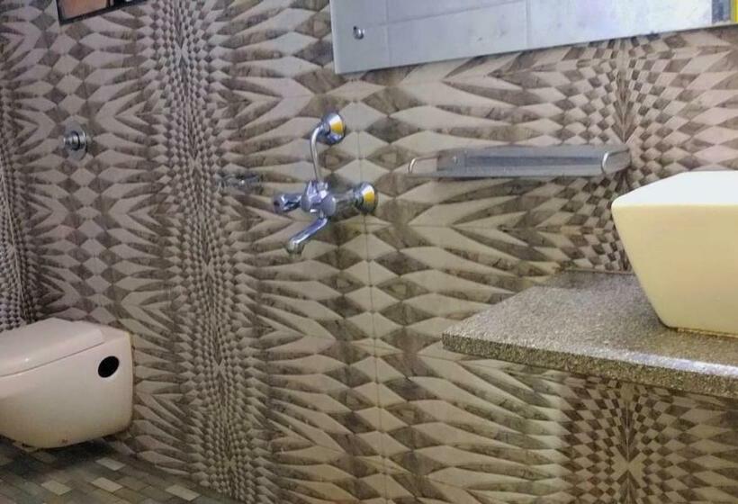 Номер Deluxe, Shree Krishna Palace