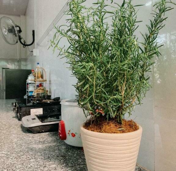 Pokój Standard, Demi Homestay   Châu đốc
