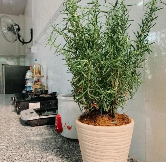 اتاق خانوادگی با چشم‌انداز کوه, Demi Homestay   Châu đốc