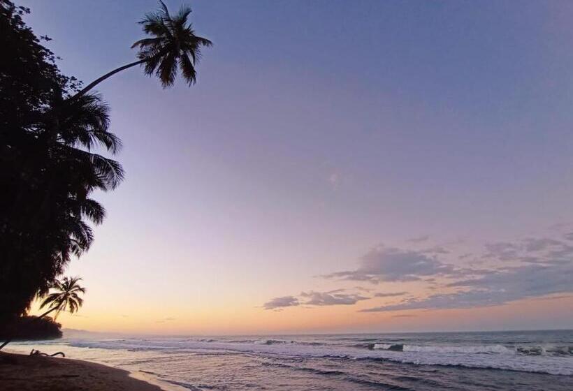 スタンダードバンガロー, Dragonfly Beachfront Villas Adult Only