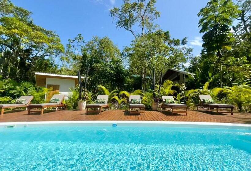 スタンダードルーム, Dragonfly Beachfront Villas Adult Only