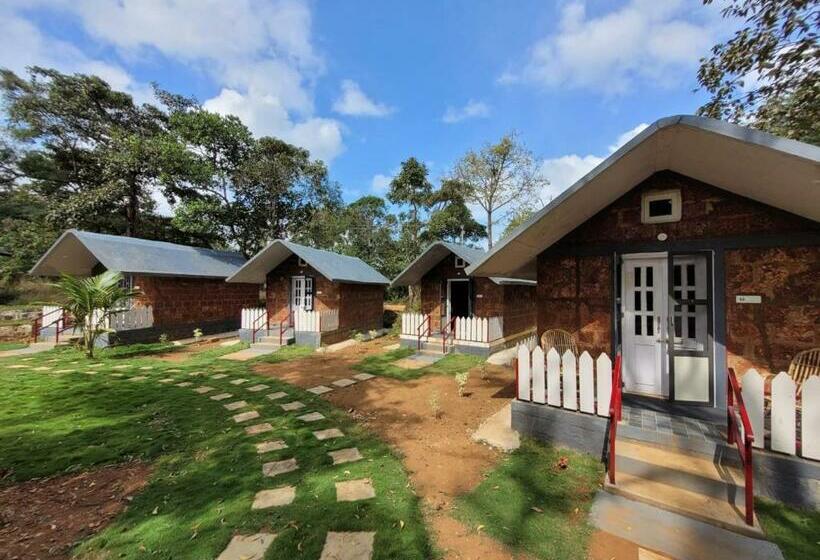 标准间, The Dandelion   Colonels Jungle Resort