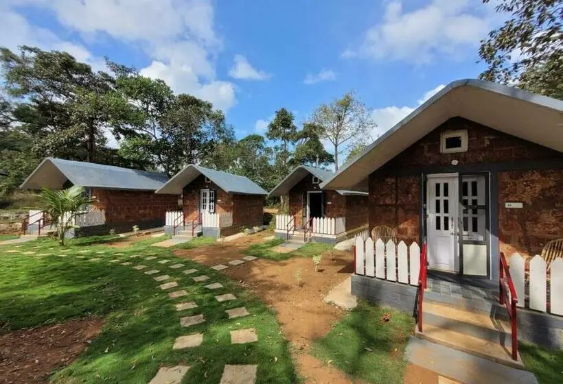 スタンダードルーム, The Dandelion   Colonels Jungle Resort