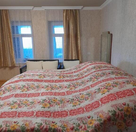 اتاق اکونومی, Dusheti Baga