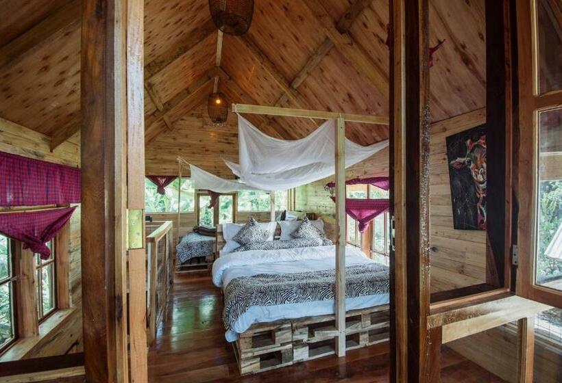 シャレー・スペリアー1寝室, River Off Grid Eco Cabins