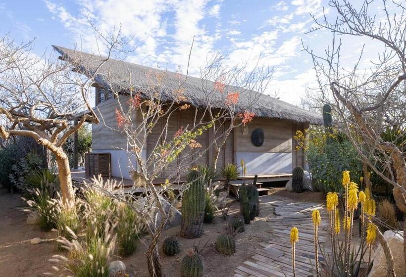 فيلا غرفة نوم واحدة, El Perdido Desert Dream