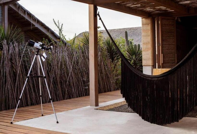 فيلا غرفة نوم واحدة, El Perdido Desert Dream