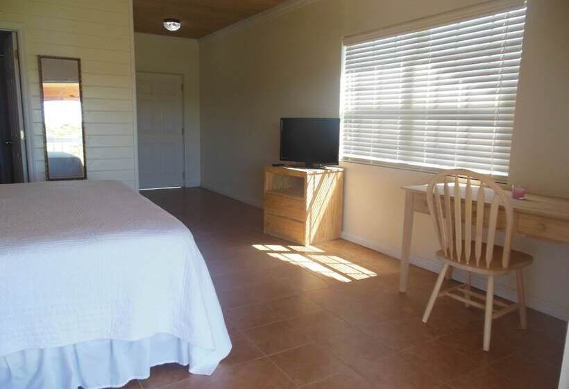 اتاق استاندارد با 2 تخت دوبل, Winter Haven