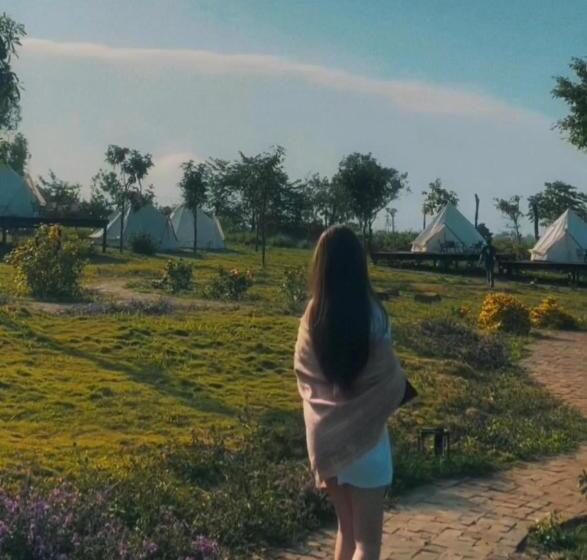 چادر با خدمات رفاهی استاندارد, Todo Farm   Organic Farming & Retreat