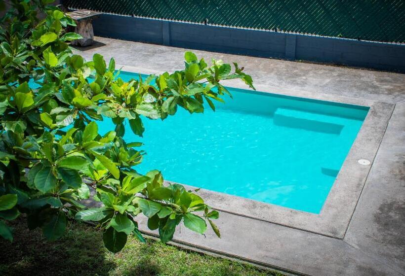 اتاق استاندارد سه نفره, Hostal Don Luis