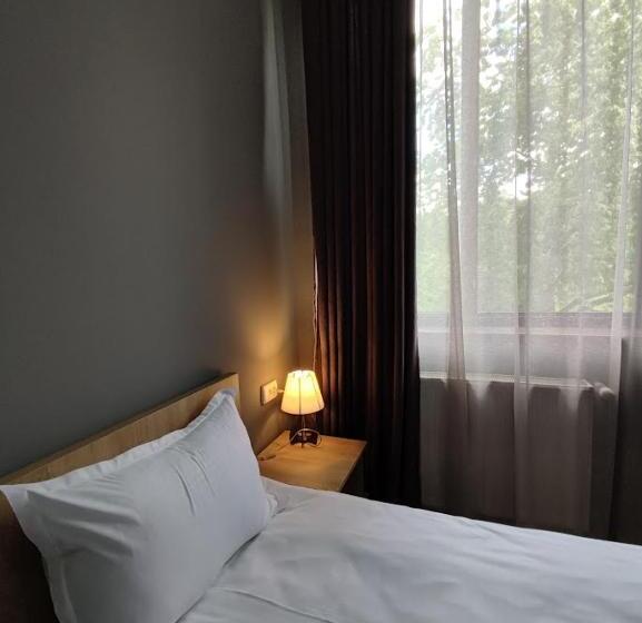 اتاق استاندارد, Shanshe