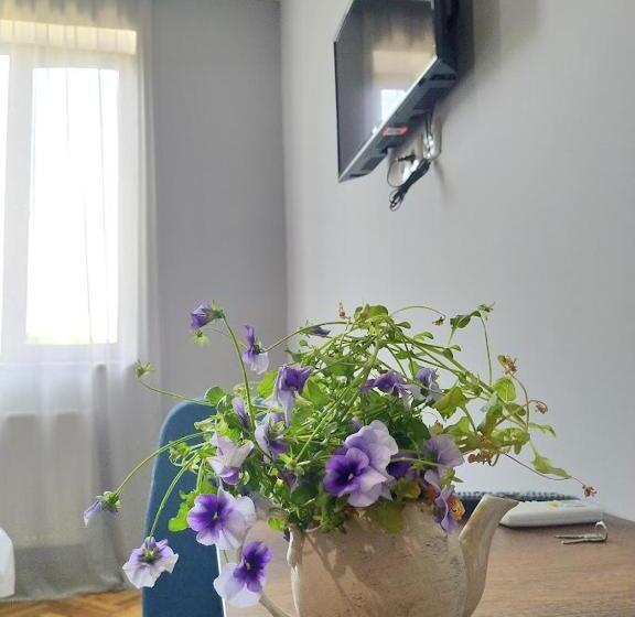 اتاق استاندارد, Shanshe