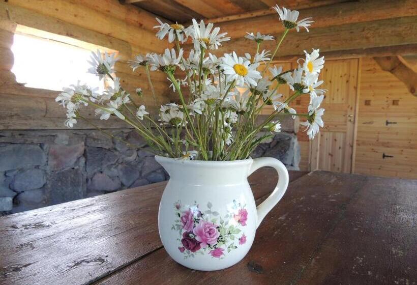 اتاق خانوادگی, Suurekivi Külalistemaja