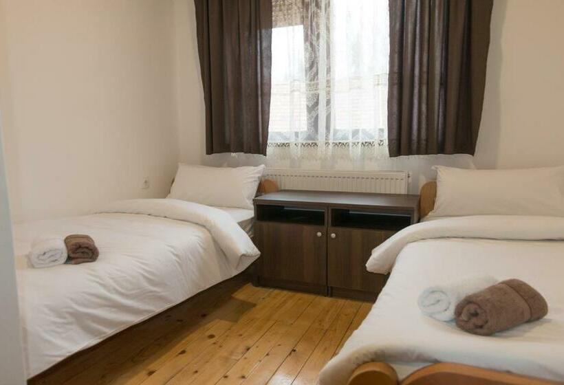 اتاق استاندارد, Viktorijini Konaci