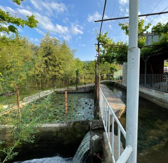 اتاق خانوادگی, Zaali S Wine Cellar