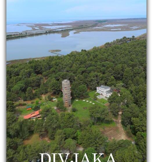 Апартаменты 3 Спальни, Andrea Bashuri