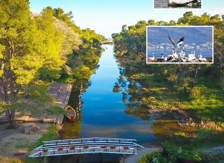 Апартаменты 3 Спальни, Andrea Bashuri