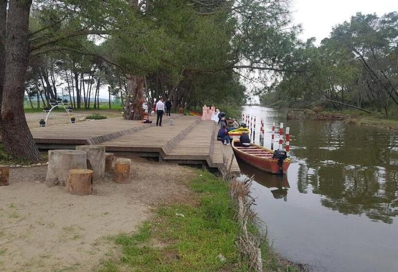 Апартаменты 3 Спальни, Andrea Bashuri