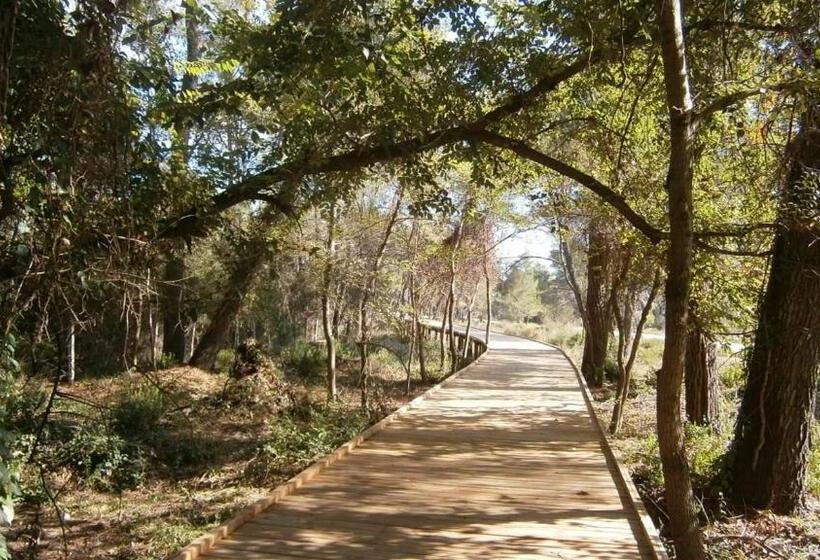 Апартаменты 3 Спальни, Andrea Bashuri