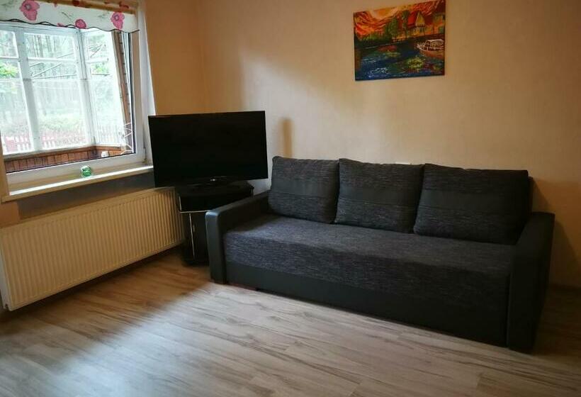 اتاق استاندارد چهارنفره با سرویس بهداشتی مشترک, Svečių Namai Pervalkoje