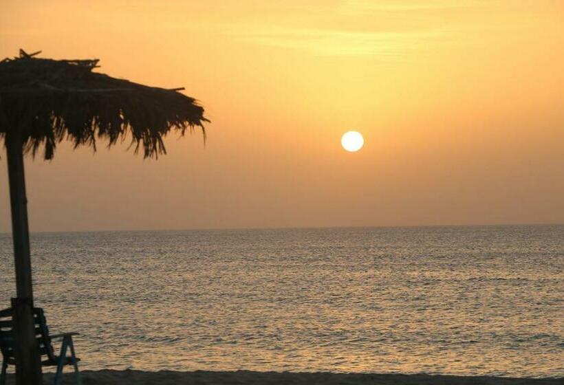 주니어 스위트 바다 전망, Villa Alfredo Marchetti Nº13 A Suites On The Beach, Praia De Chaves, Boa Vista