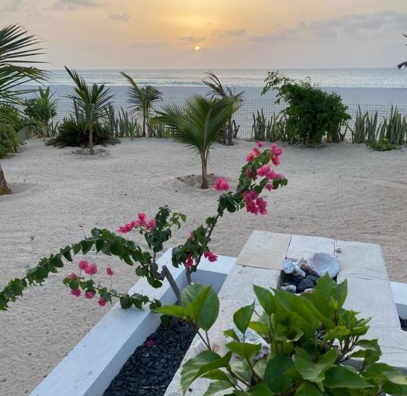 주니어 스위트 바다 전망, Villa Alfredo Marchetti Nº13 A Suites On The Beach, Praia De Chaves, Boa Vista