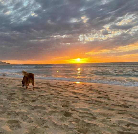 바다 전망 스위트, Villa Alfredo Marchetti Nº13 A Suites On The Beach, Praia De Chaves, Boa Vista