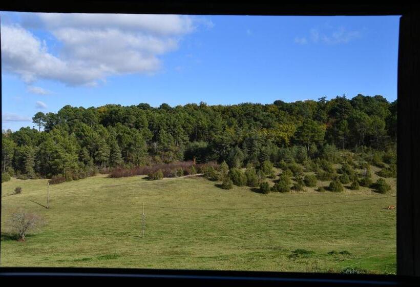 غرفة قياسية, B&b Angueur